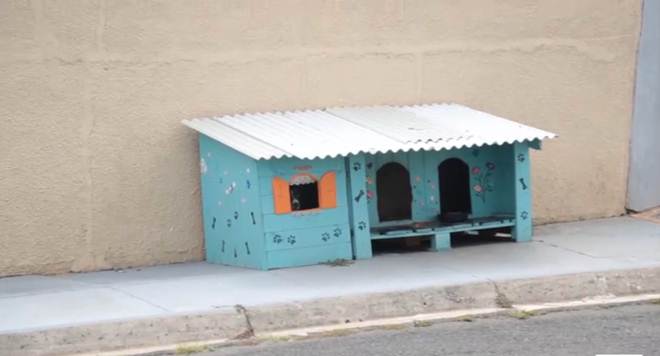 Casinha para cães comunitários em Ponta Grossa-PR