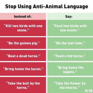 Ação da PETA para o fim do uso de linguagem ofensiva aos animais